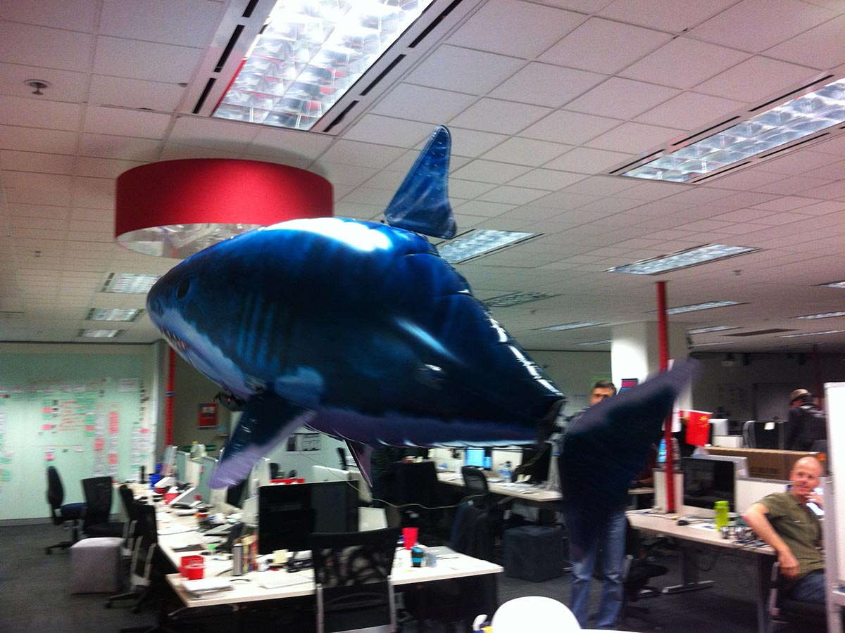 The classic flying shark floating around the office.